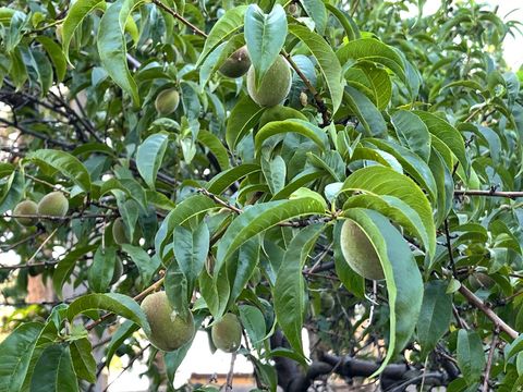 Tiny photo for 4085 S OLYMPIC WAY, Holladay, UT 84124 (MLS # 2129616)