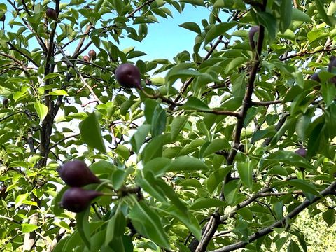 Tiny photo for 4085 S OLYMPIC WAY, Holladay, UT 84124 (MLS # 2129616)