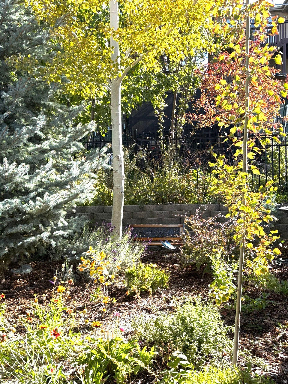 COUNTRY HEIGHTS SUB - Residential