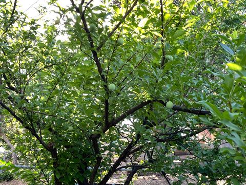 Tiny photo for 4085 S OLYMPIC WAY, Holladay, UT 84124 (MLS # 2129616)