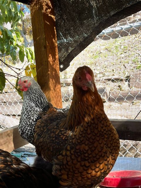 Tiny photo for 4085 S OLYMPIC WAY, Holladay, UT 84124 (MLS # 2129616)