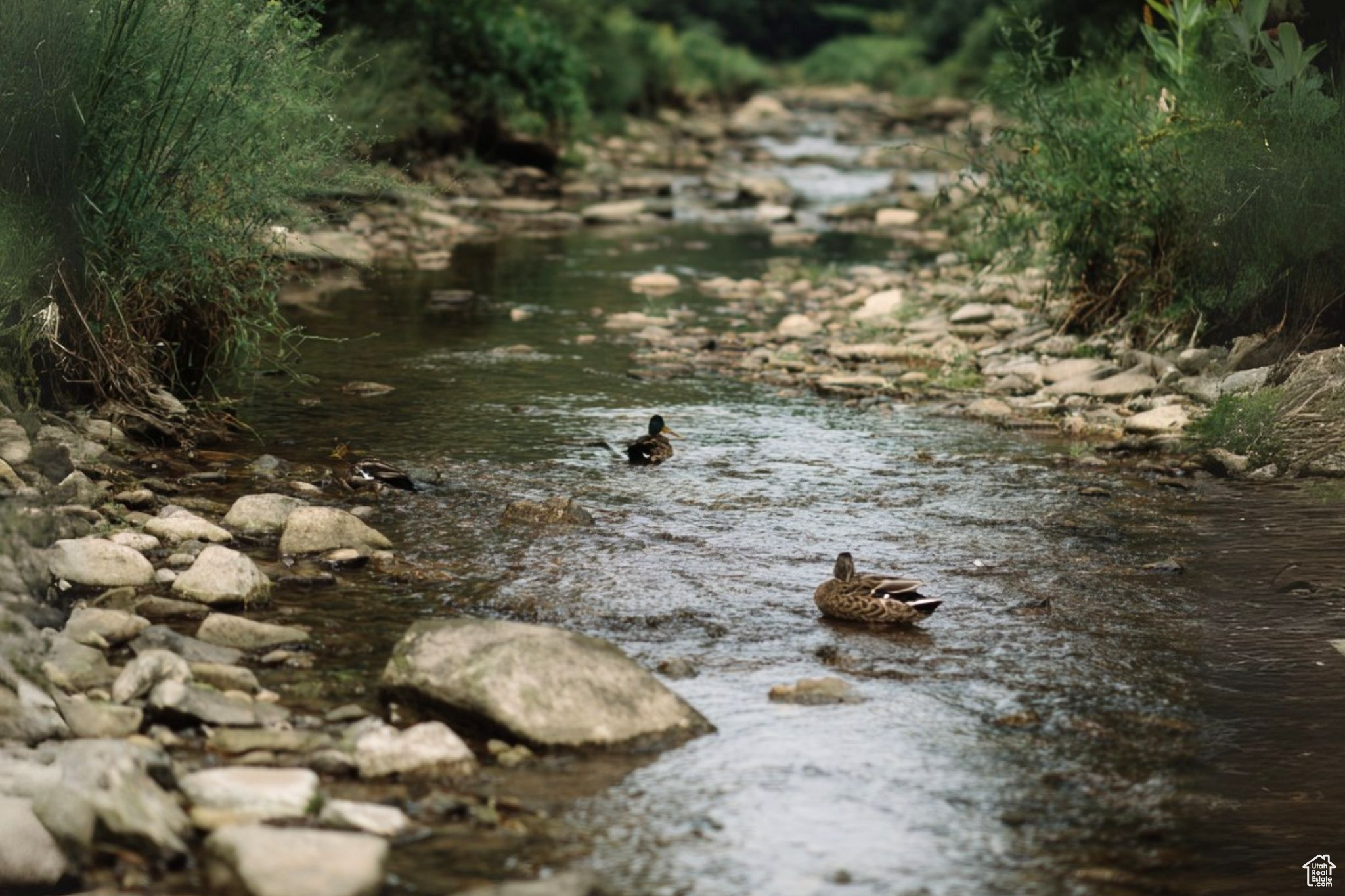 WILLOWS CONDM - Residential