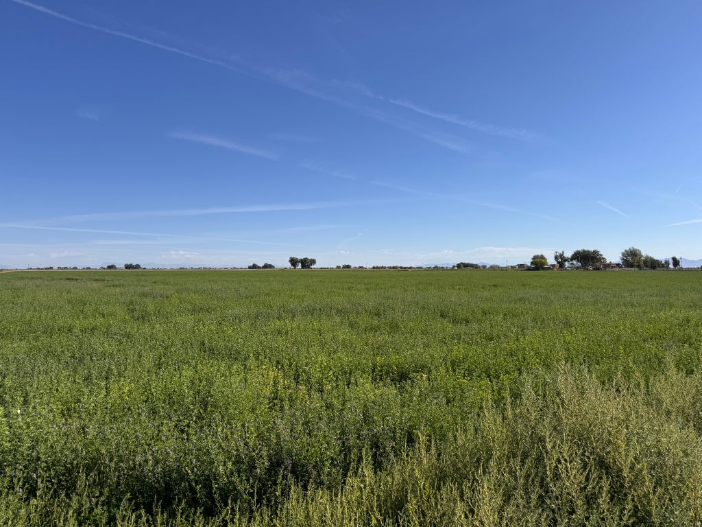 Photo of 3200 W 3500 S, Deseret, UT 84624 (MLS # 2183636)