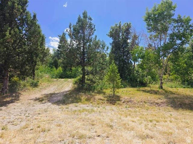 THUNDER MTN RANCH RECREATIONAL SUB - Land