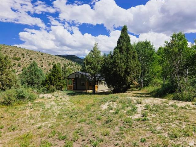 THUNDER MTN RANCH RECREATIONAL SUB - Land