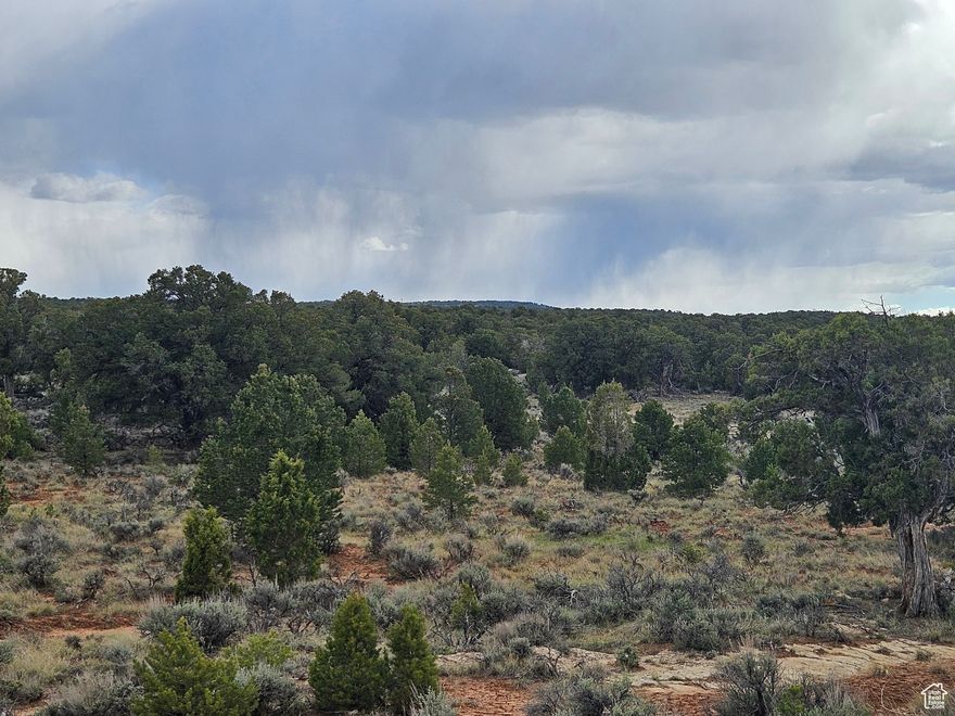 * Beautiful 5 Acre lot in Tabby Shadows! * Appraisal just completed and can be provided * Nice location with good access road - between Strawberry and Starvation Reservoirs * Just off Hwy 40 with great YEAR-ROUND maintained roads! * Property is mainly flat with some nice trees and flat areas - private from the highway * Come bring your campers & enjoy a good campsite or build your dream home! * Power easily available with moon lake electric, good water wells in the area & easy to obtain water rights and septic systems available at buyers expense * Roads are maintained by the HOA for only $100 per year * Miles & miles of dirt roads for 4wheeling, hiking, biking & good hunting area with deer & elk roaming * Rivers, lakes & streams all nearby for good fishing * Less than 15 mins to Duchesne for all your needs in town *