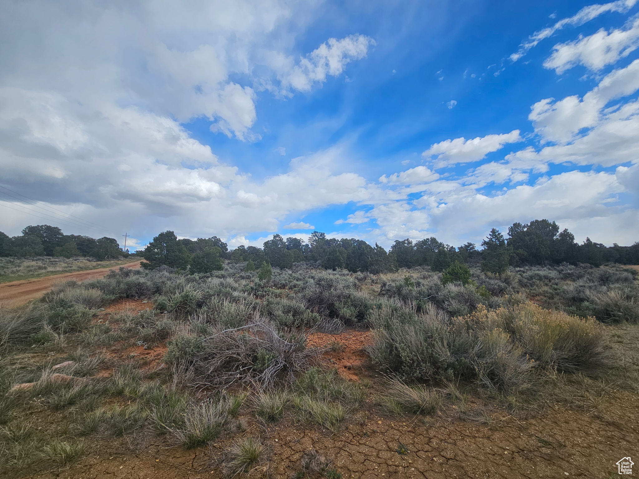 TABBY SHADOWS - Land
