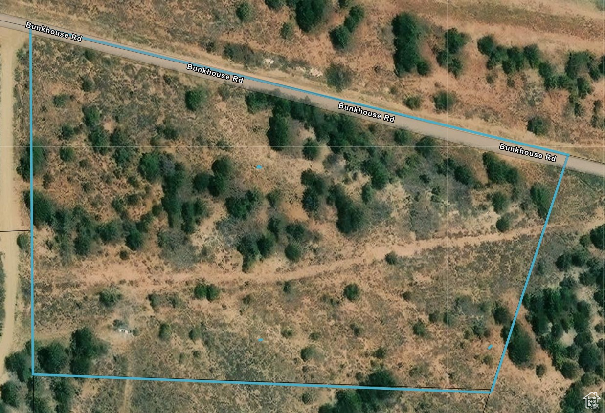 TABBY SHADOWS - Land