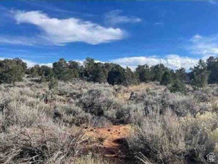 TABBY SHADOWS - Land