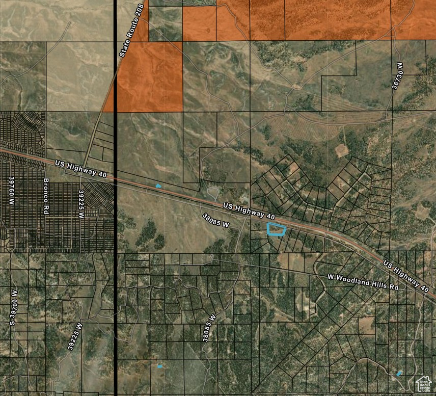 TABBY SHADOWS - Land