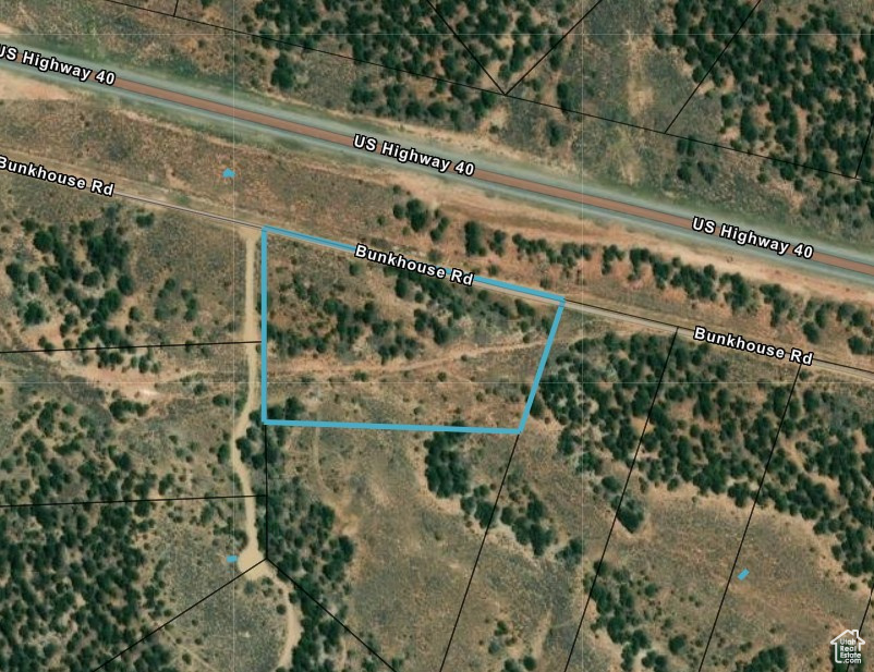 TABBY SHADOWS - Land