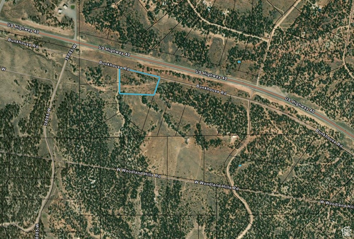 TABBY SHADOWS - Land