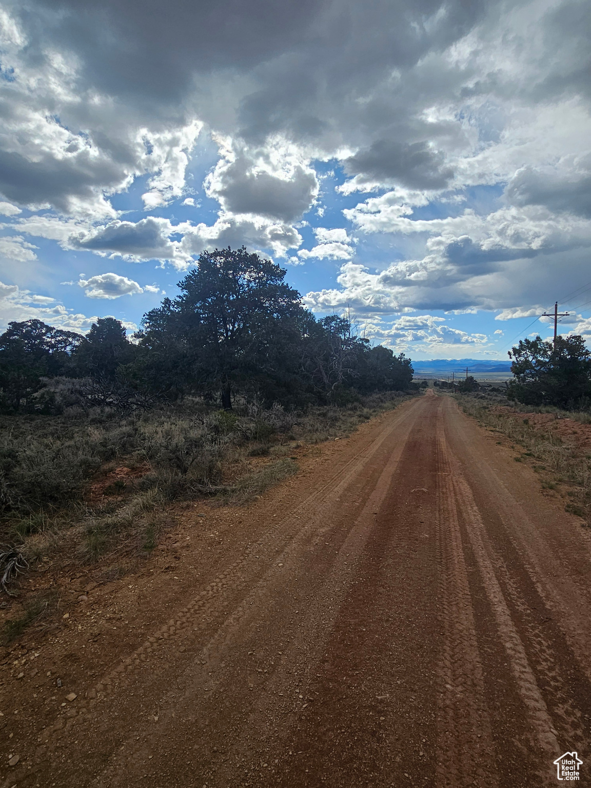 TABBY SHADOWS - Land