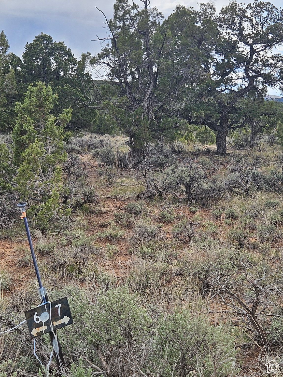 TABBY SHADOWS - Land