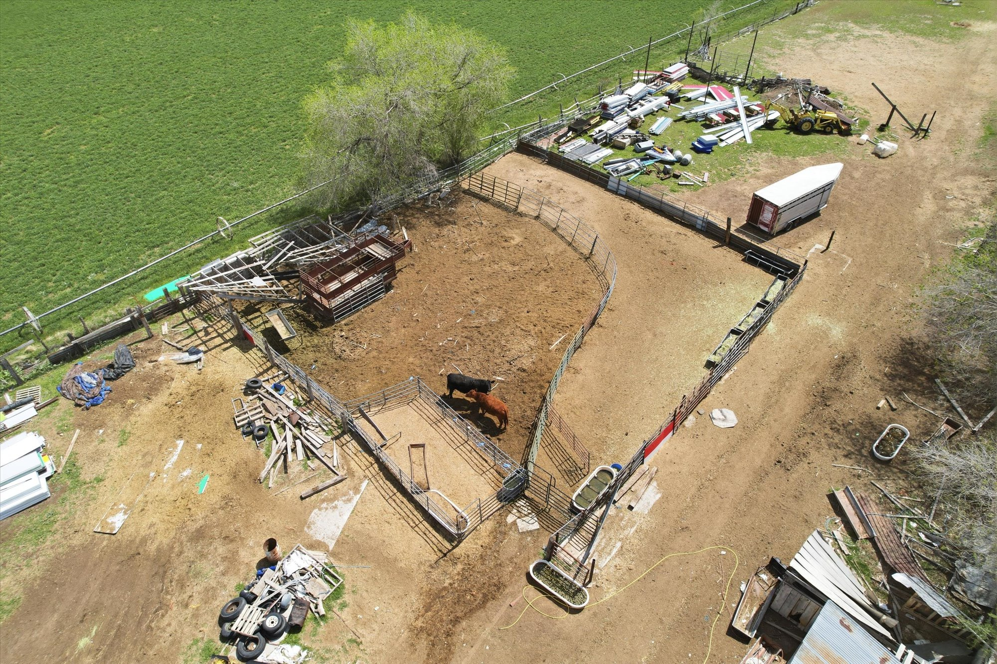 Main image without alt text