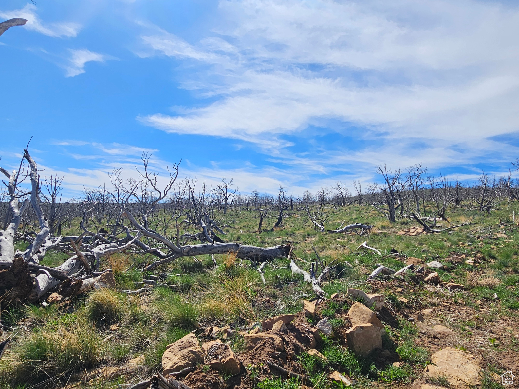STRAWBERRY PROPERTIES - Land