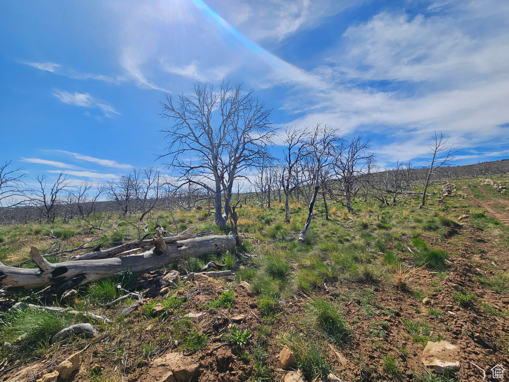 STRAWBERRY PROPERTIES - Land