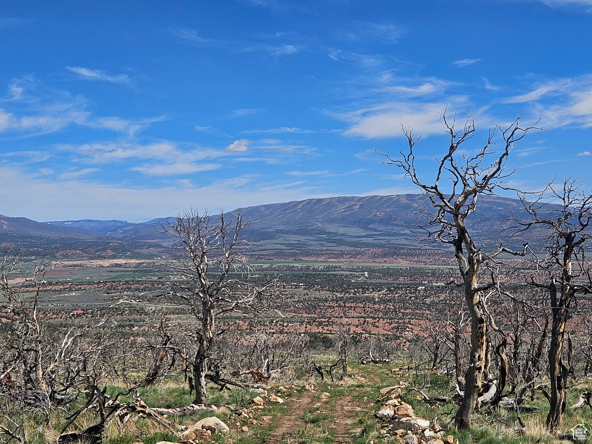 STRAWBERRY PROPERTIES - Land