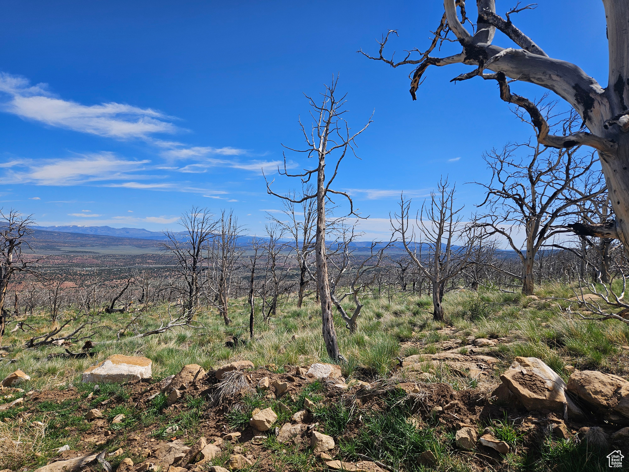 STRAWBERRY PROPERTIES - Land