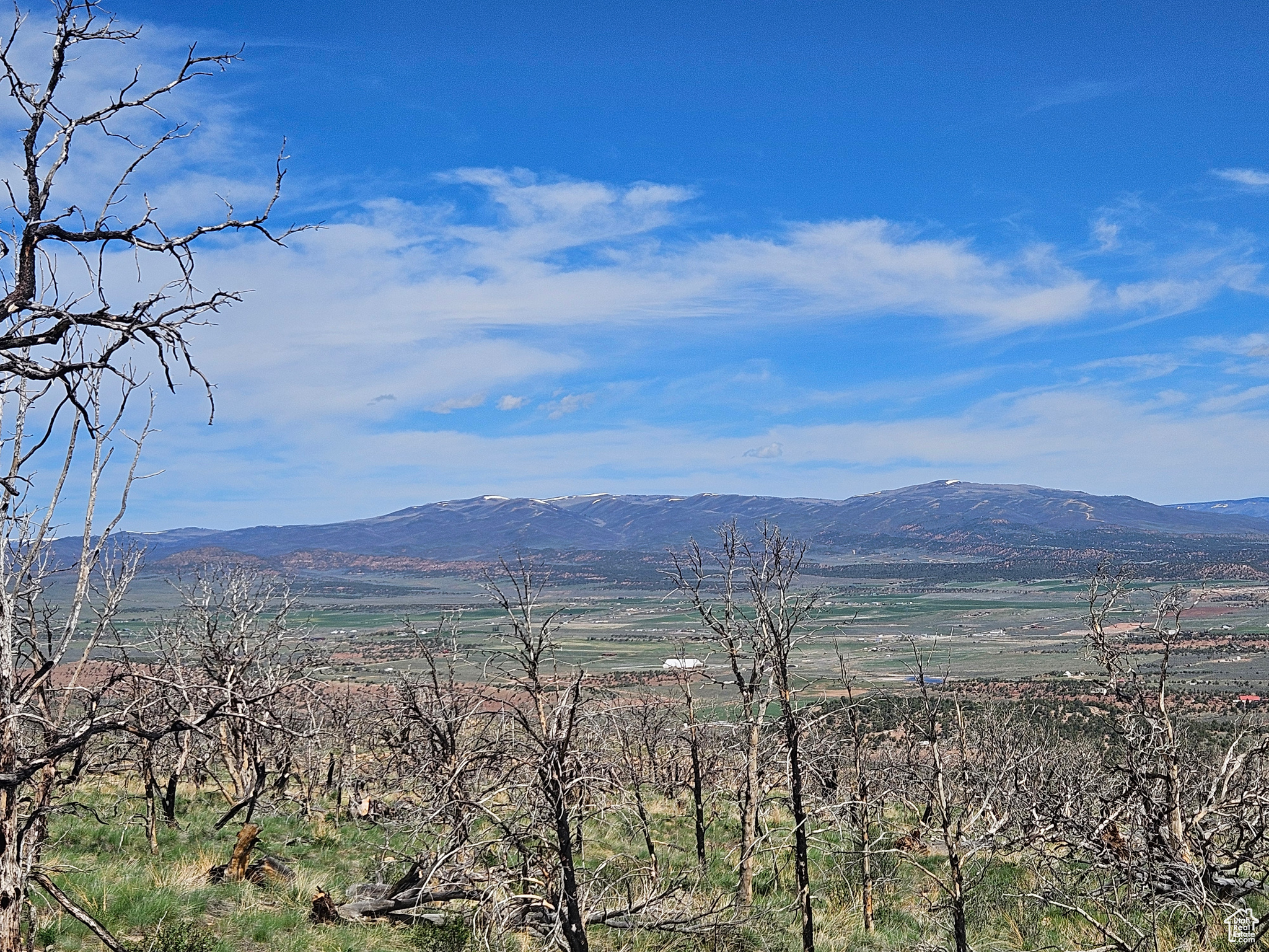 STRAWBERRY PROPERTIES - Land