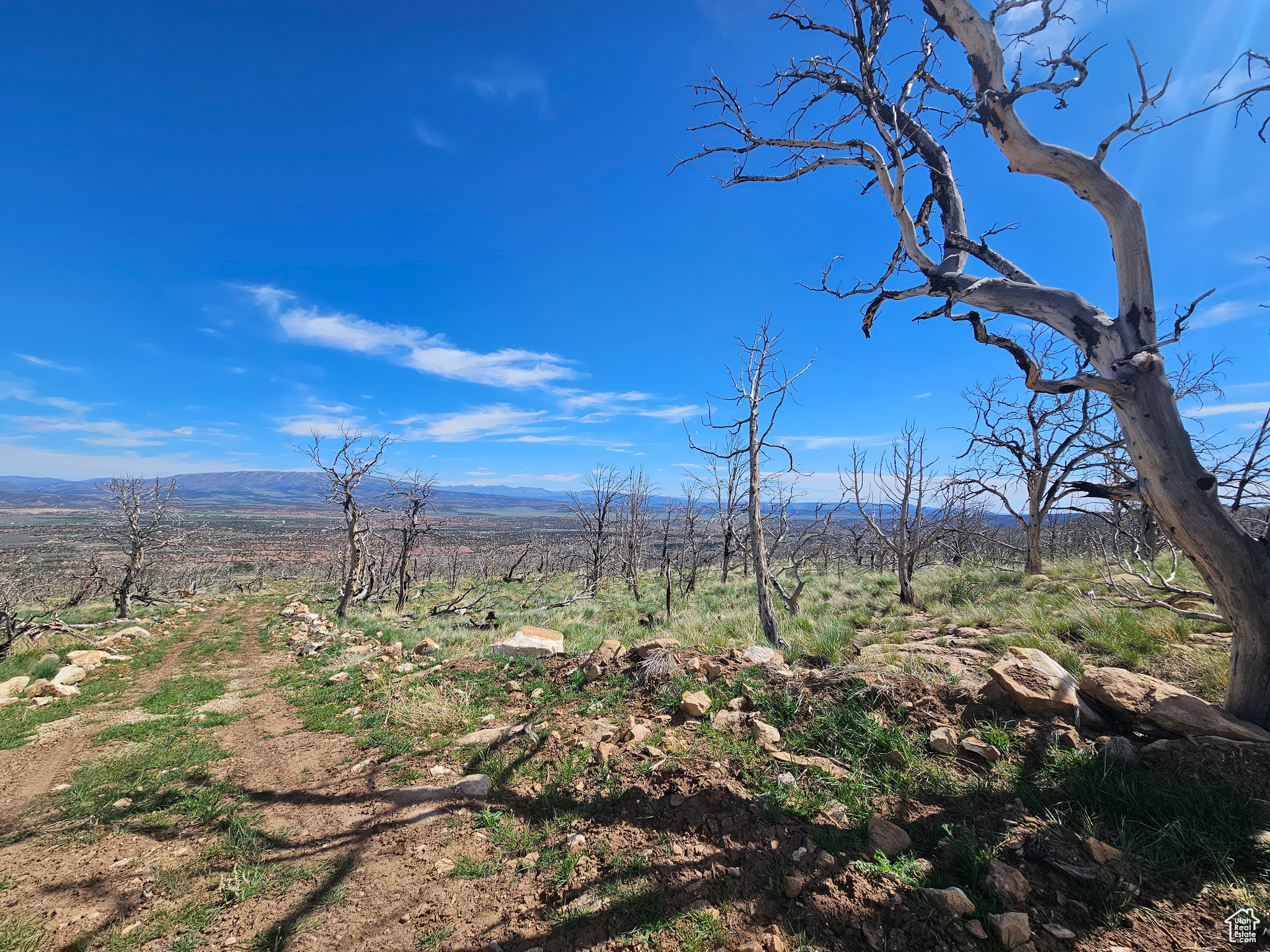 STRAWBERRY PROPERTIES - Land