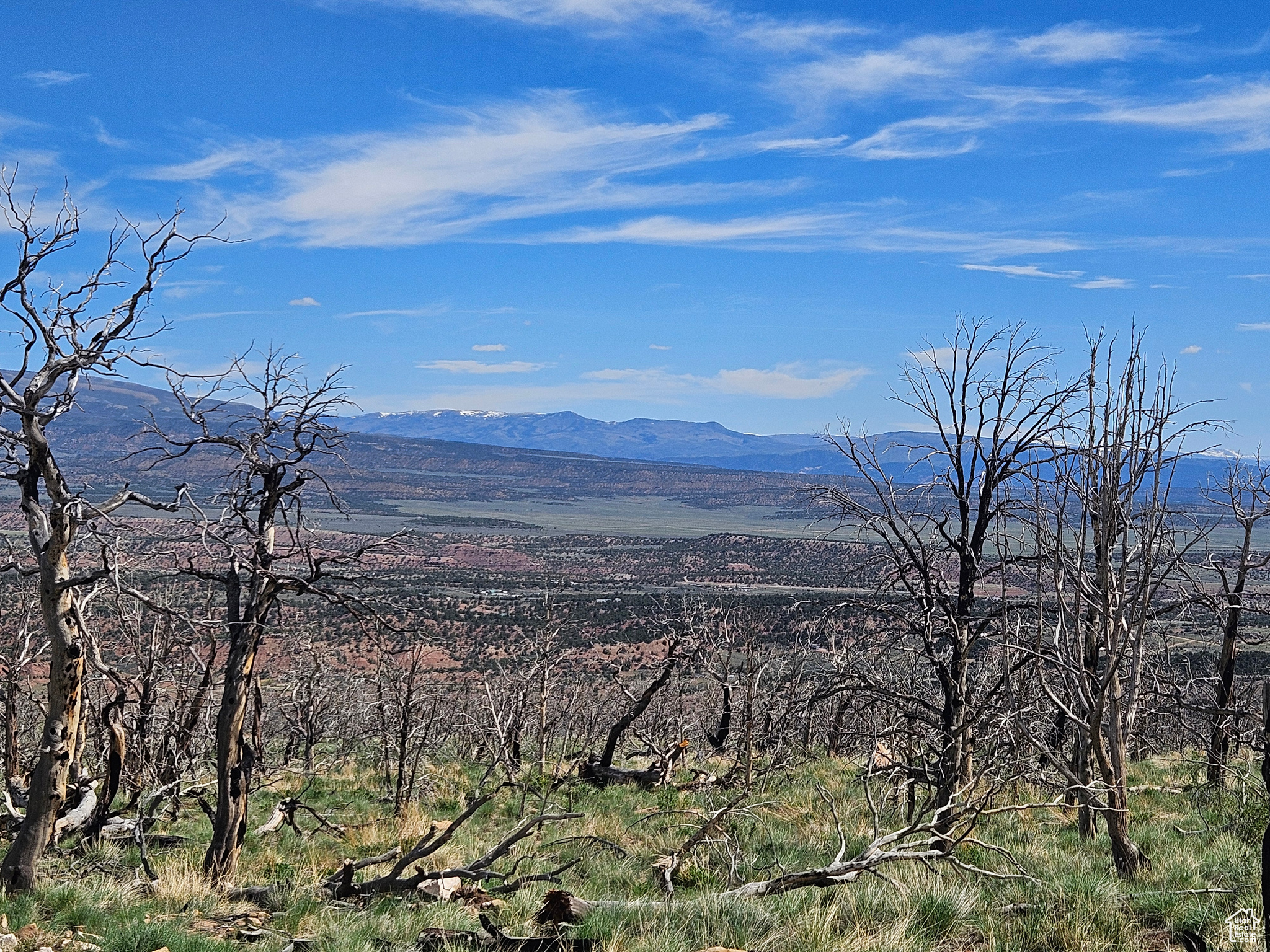 STRAWBERRY PROPERTIES - Land