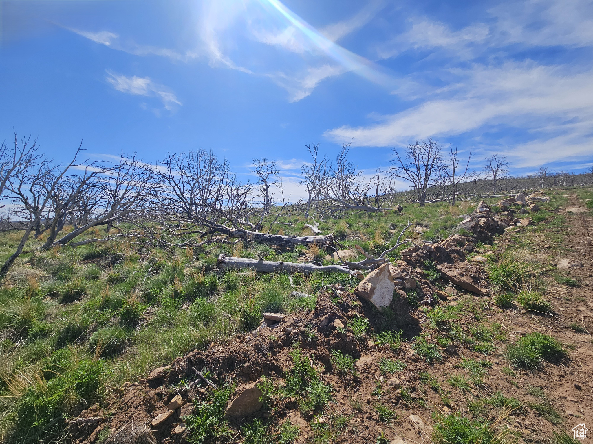 STRAWBERRY PROPERTIES - Land