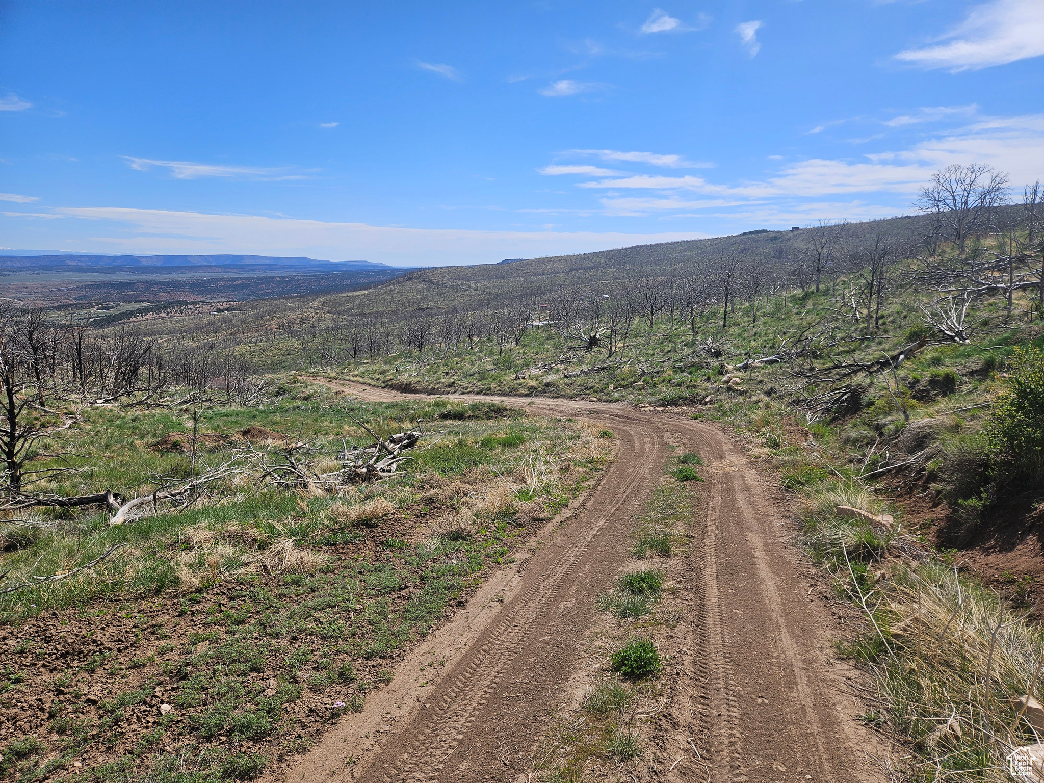 STRAWBERRY PROPERTIES - Land