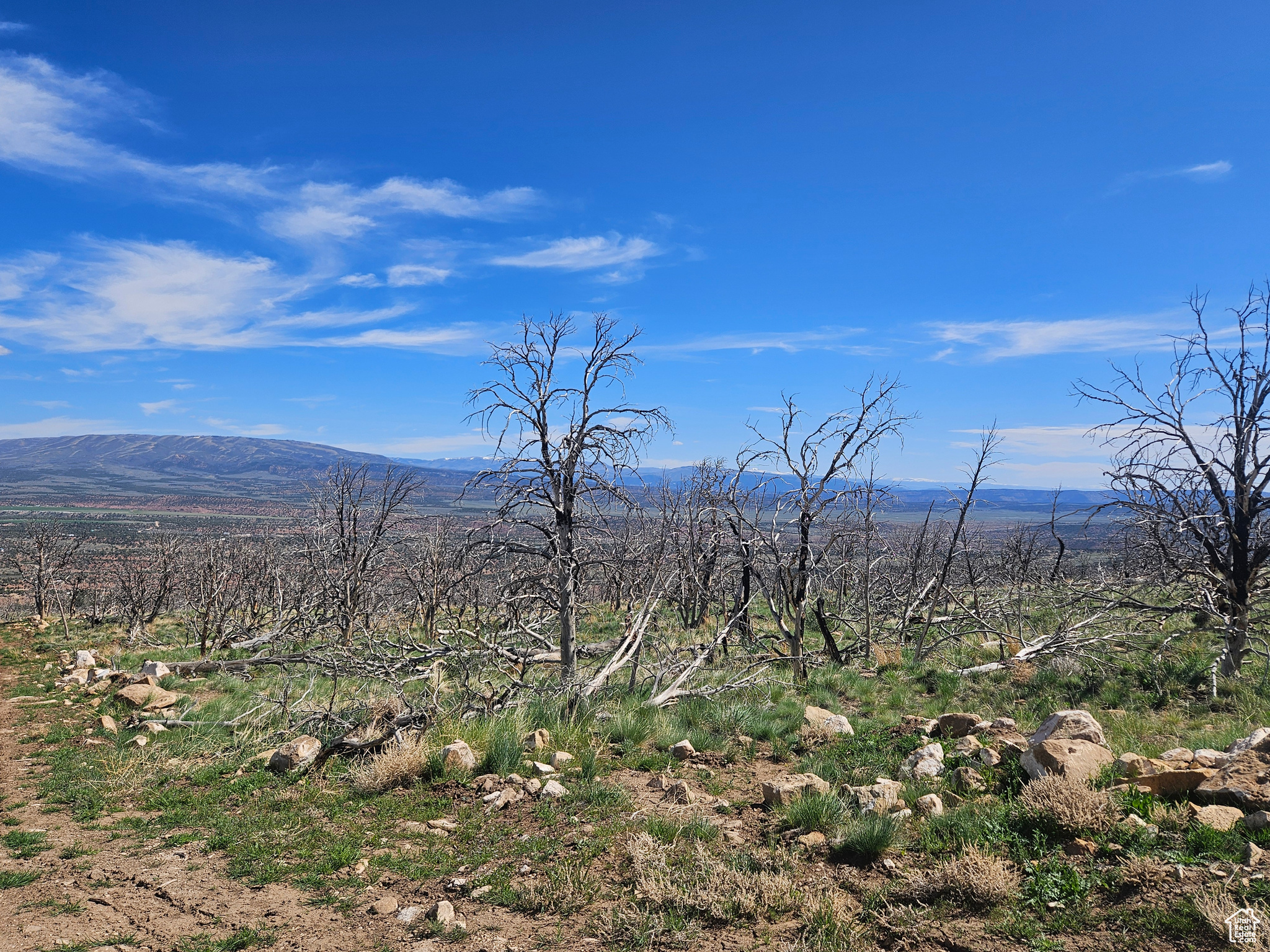 STRAWBERRY PROPERTIES - Land