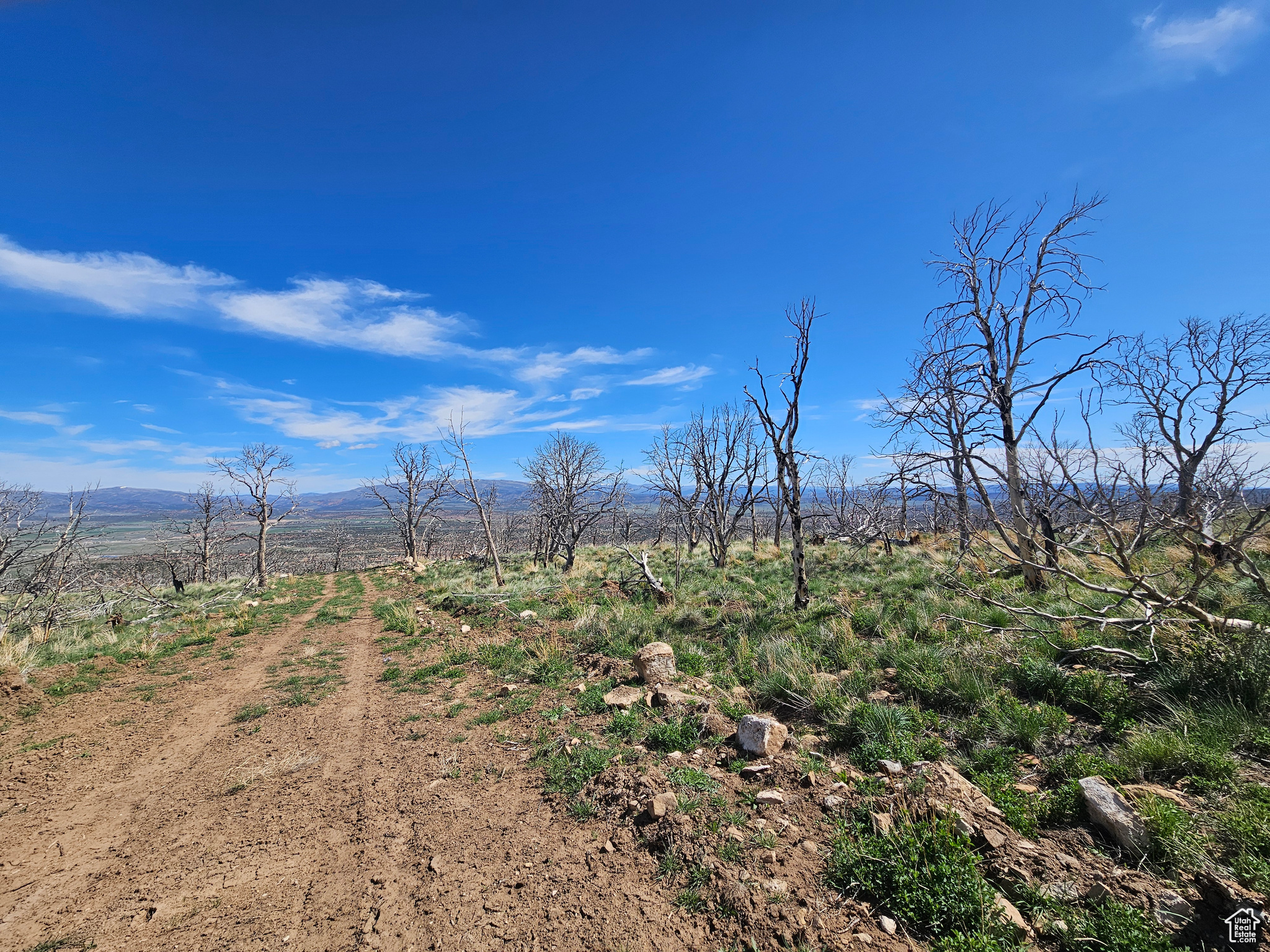 STRAWBERRY PROPERTIES - Land