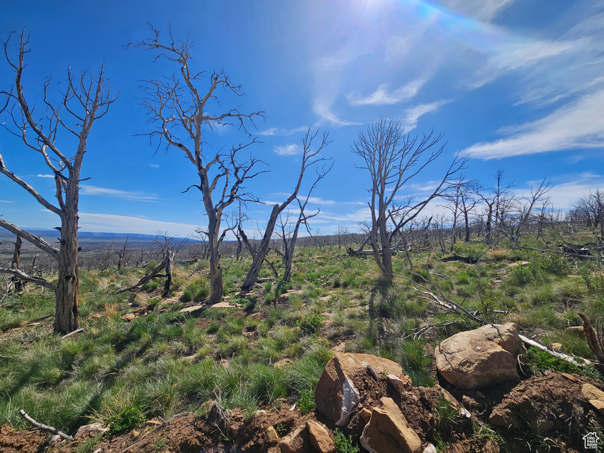 STRAWBERRY PROPERTIES - Land