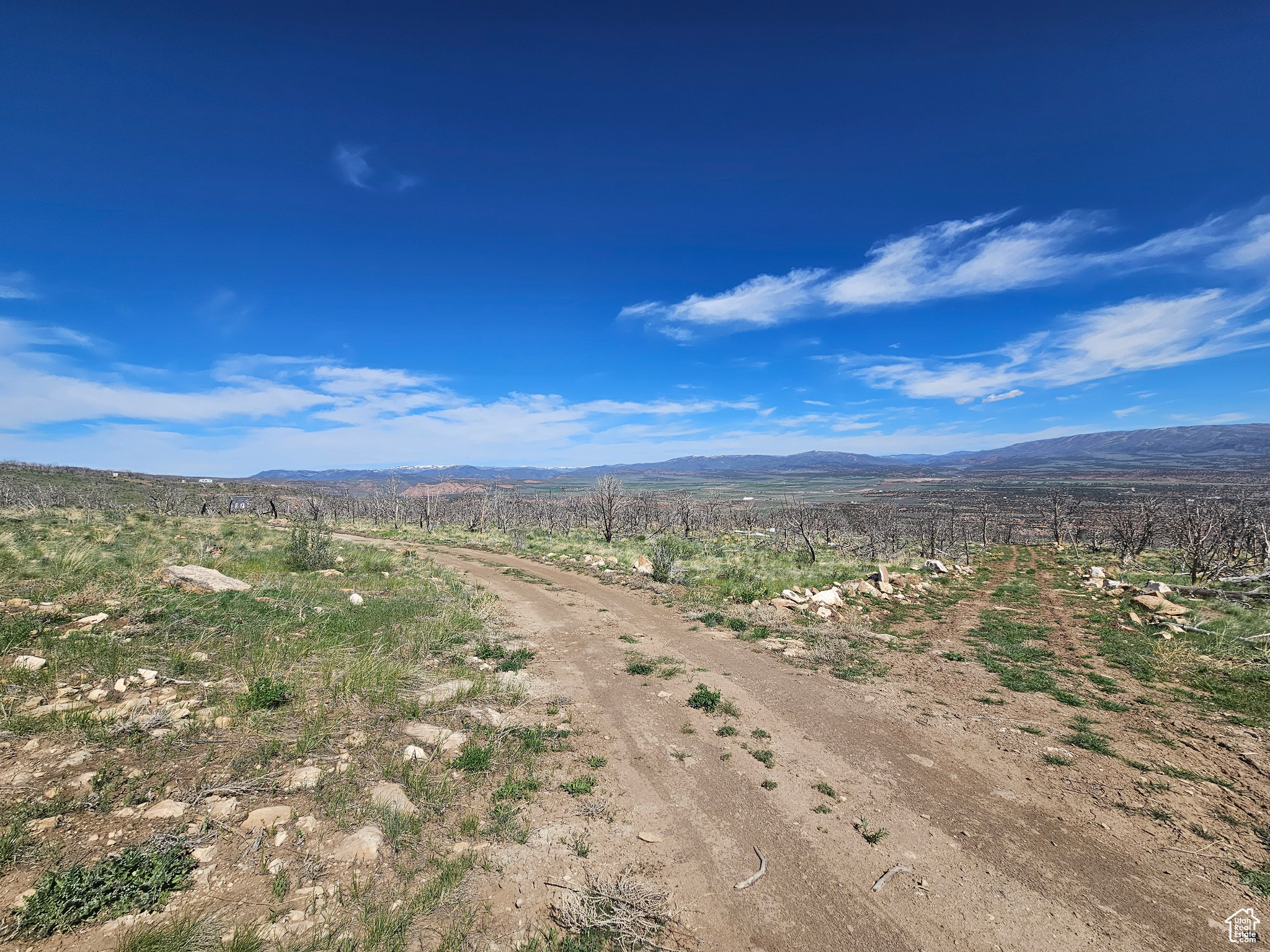 STRAWBERRY PROPERTIES - Land