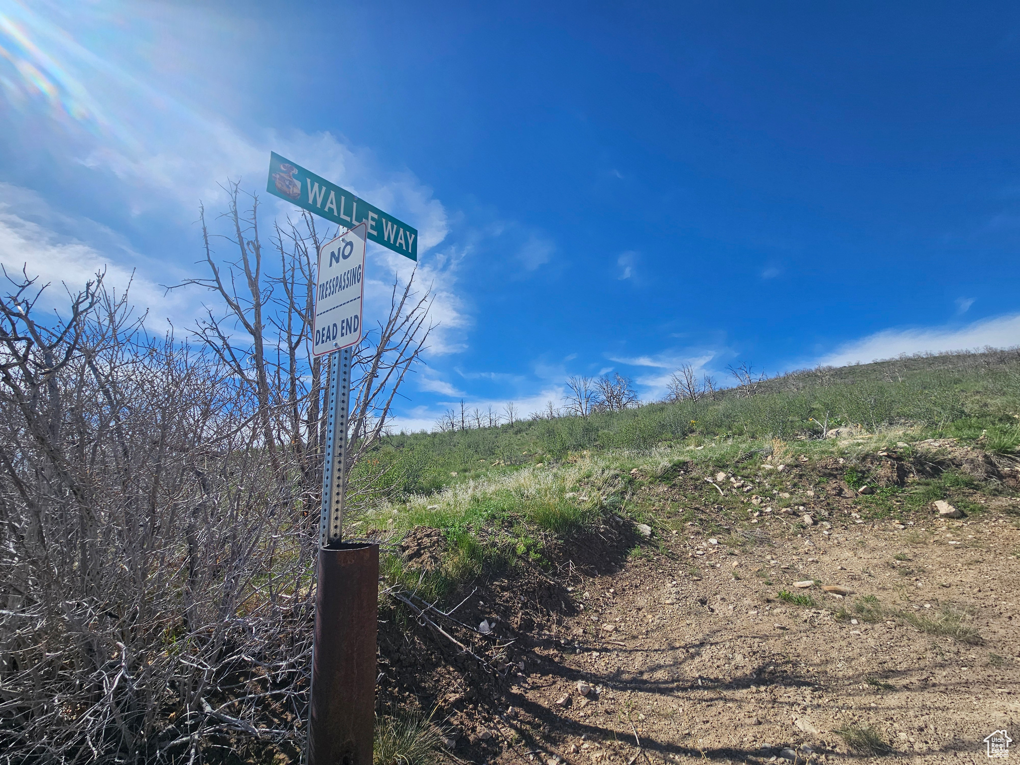 STRAWBERRY PROPERTIES - Land