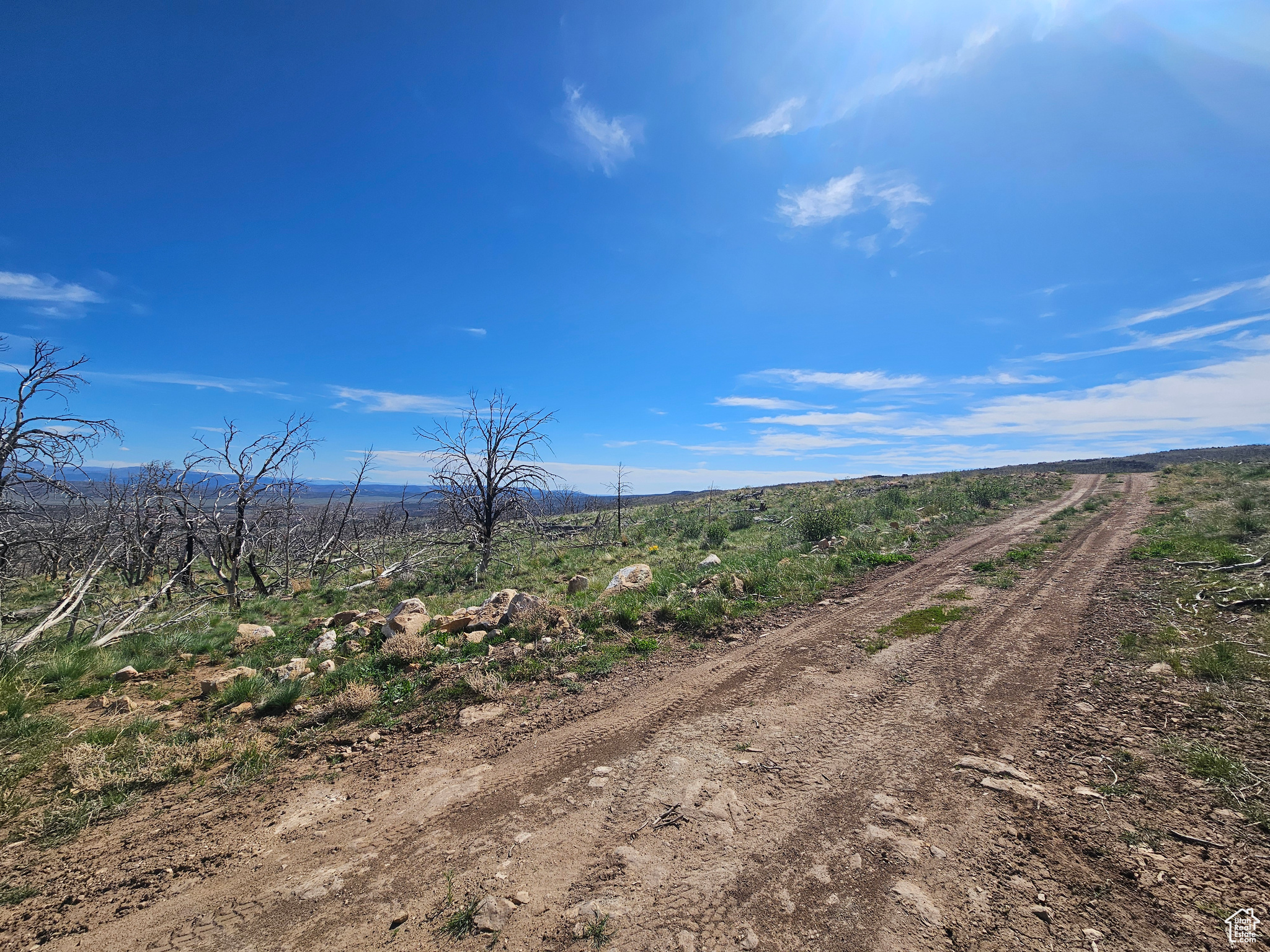 STRAWBERRY PROPERTIES - Land