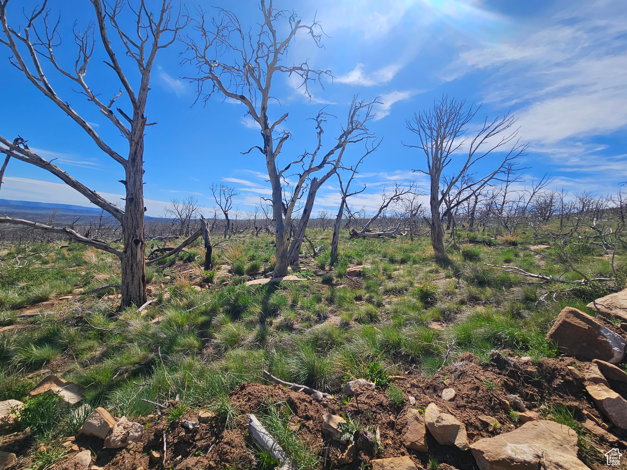 STRAWBERRY PROPERTIES - Land