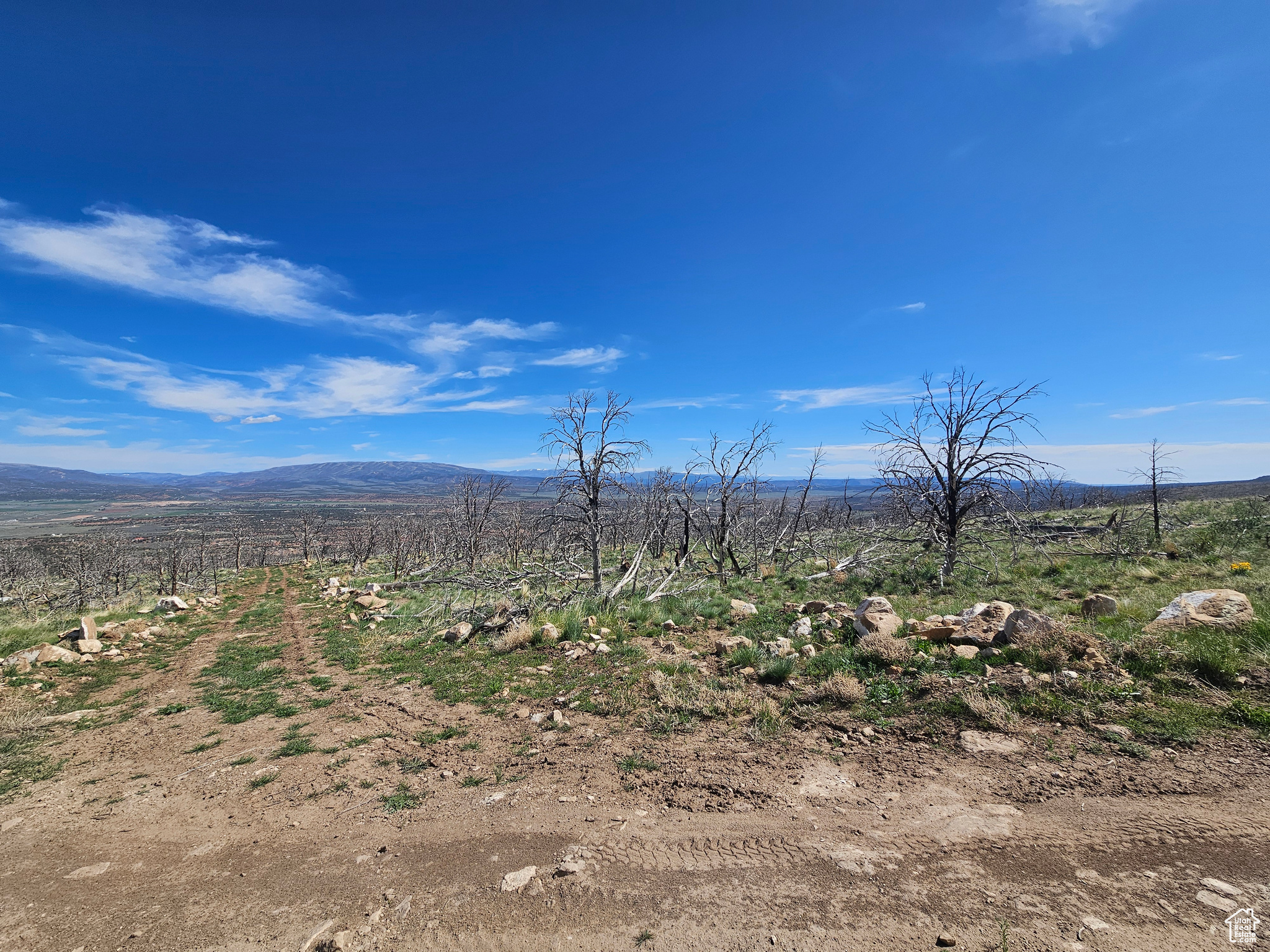 STRAWBERRY PROPERTIES - Land