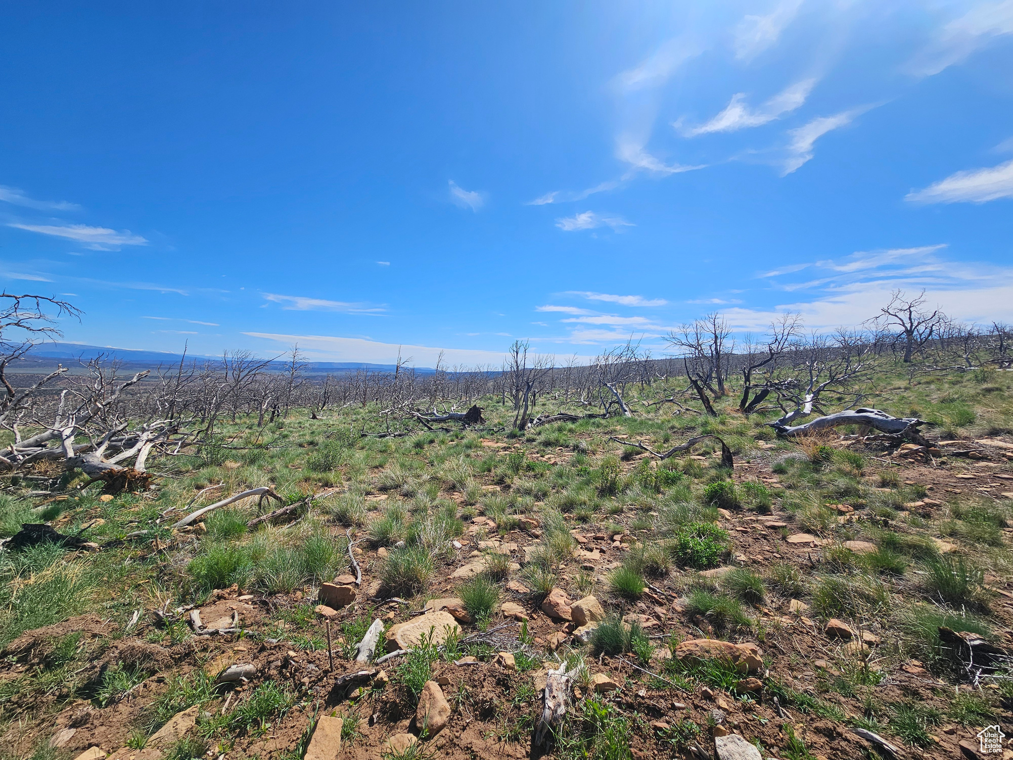 STRAWBERRY PROPERTIES - Land