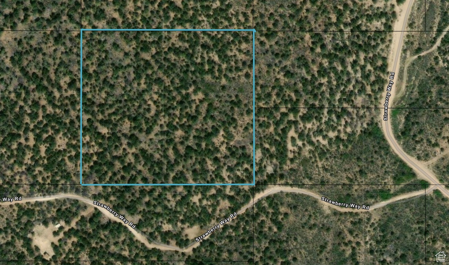 STRAWBERRY PROPERTIES - Land