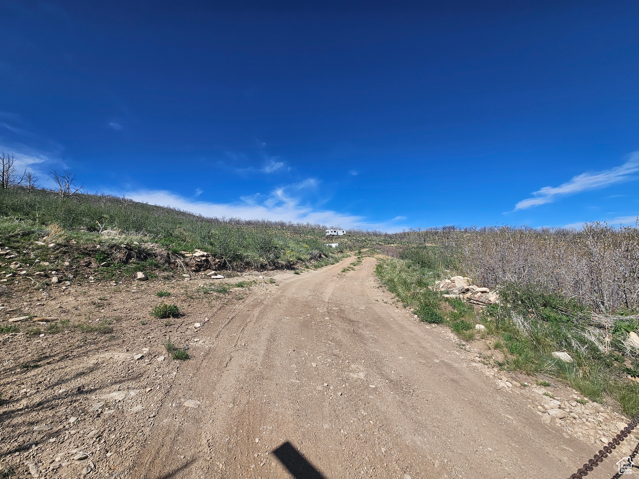 STRAWBERRY PROPERTIES - Land