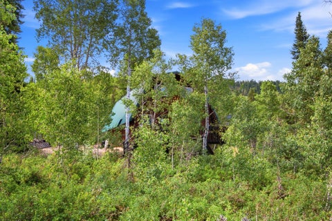 Tiny photo for 5433 E TARGHEE DR #336, Oakley, UT 84055 (MLS # 2173234)