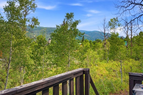 Tiny photo for 5433 E TARGHEE DR #336, Oakley, UT 84055 (MLS # 2173234)