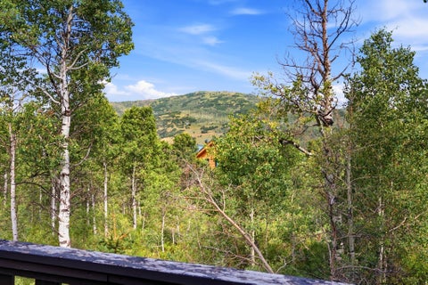 Tiny photo for 5433 E TARGHEE DR #336, Oakley, UT 84055 (MLS # 2173234)