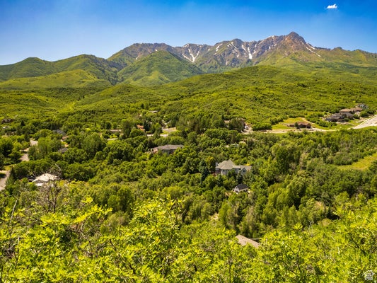 6540 HIGHLAND DR, MORGAN, UT 84050 - Image 0d053e6ff7b33a42eef8b8009cb22ea5/226281738