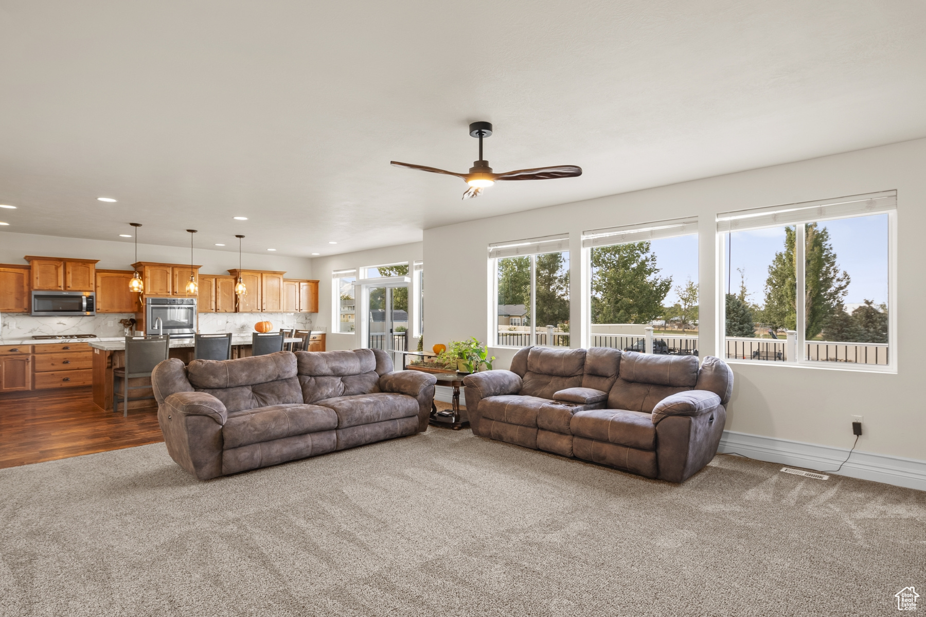 HINCKLEY PARK SUBDIVISION - Residential