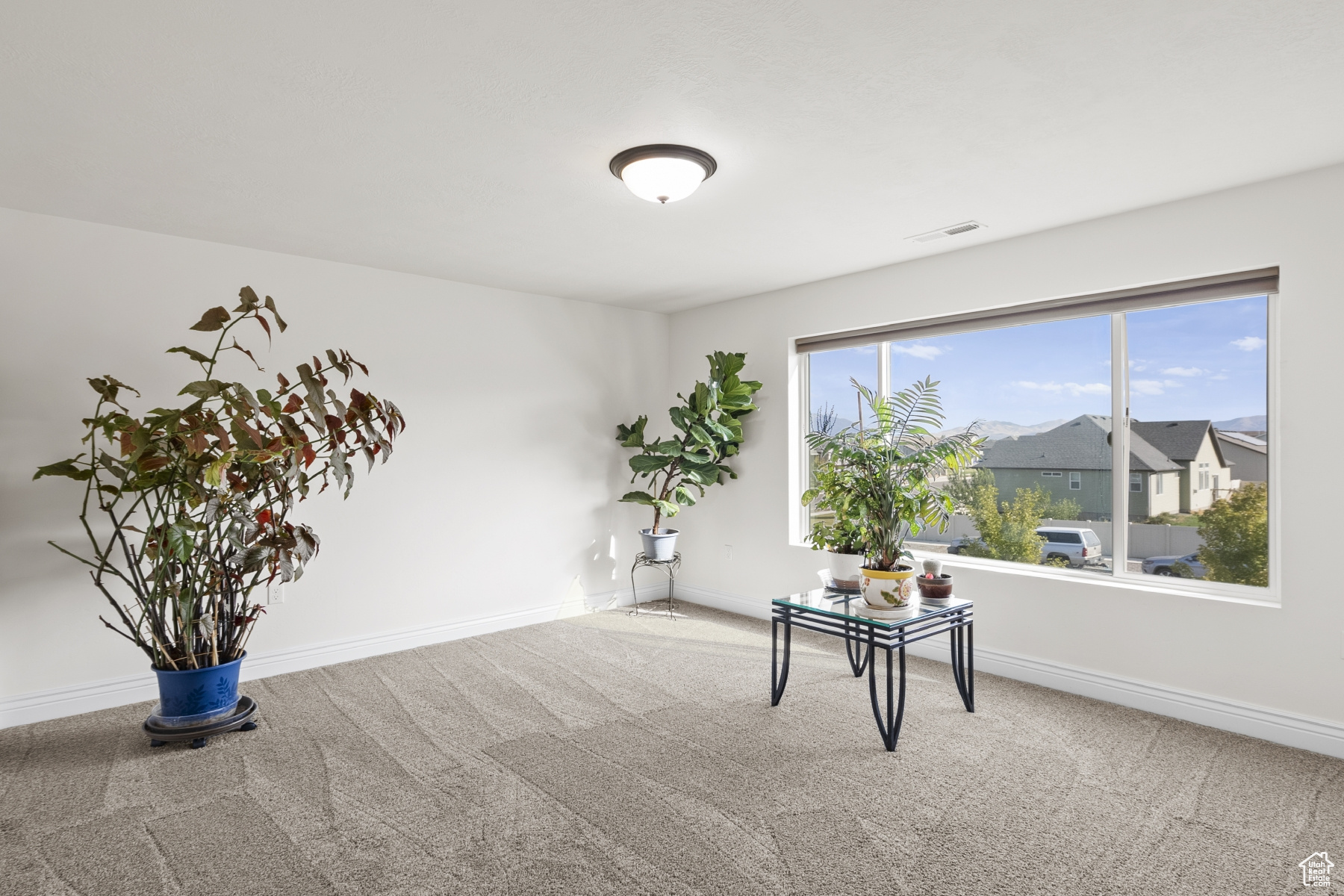 HINCKLEY PARK SUBDIVISION - Residential