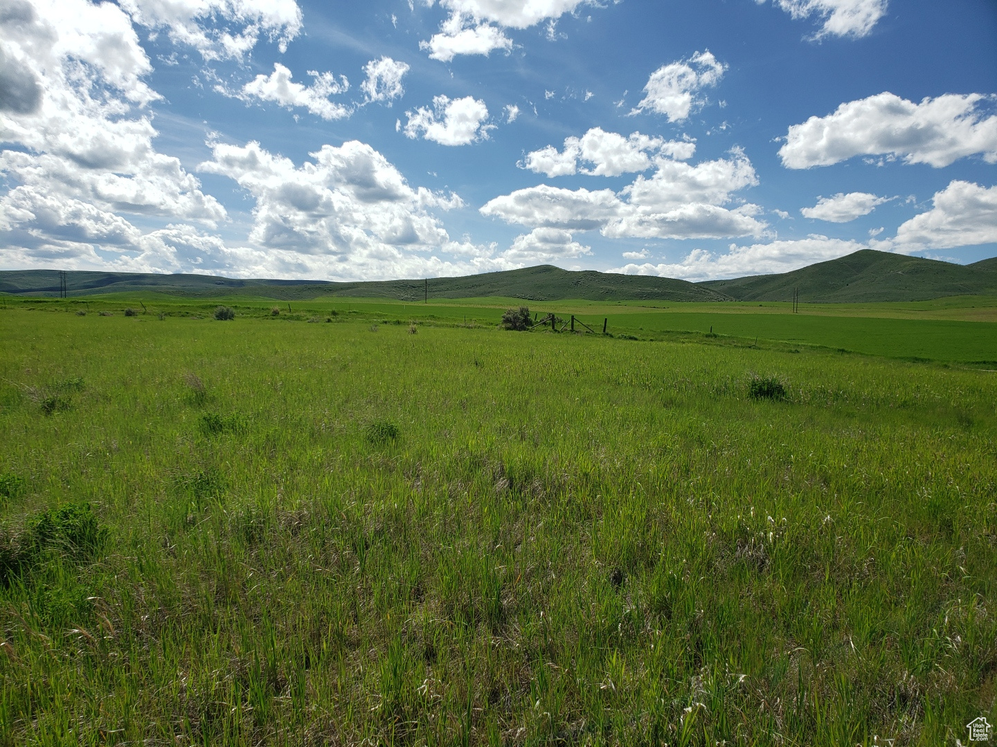 1894 Lower Bern Rd #4, Bern, Idaho image 3