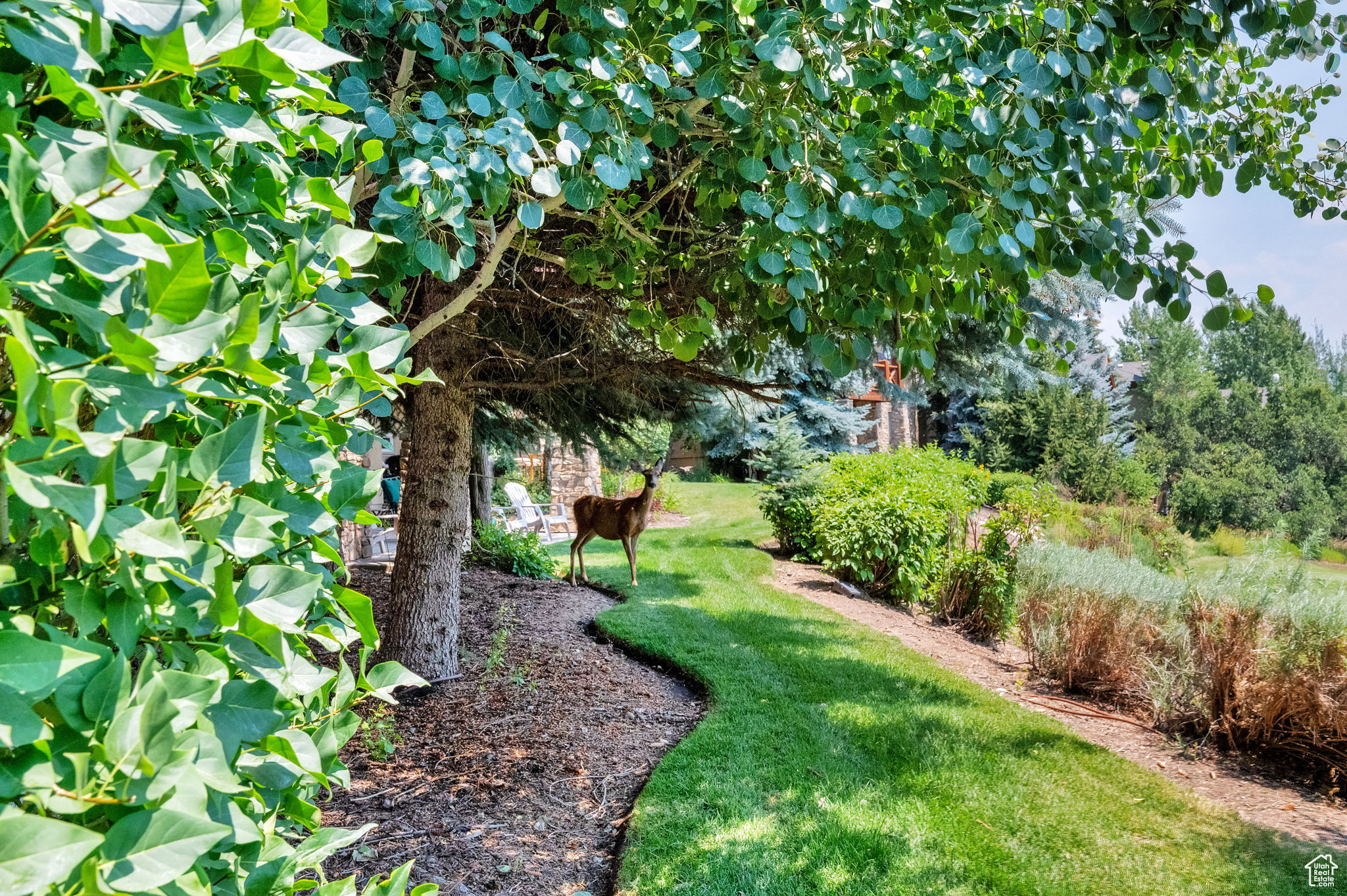 TURNBERRY WOODS - Residential