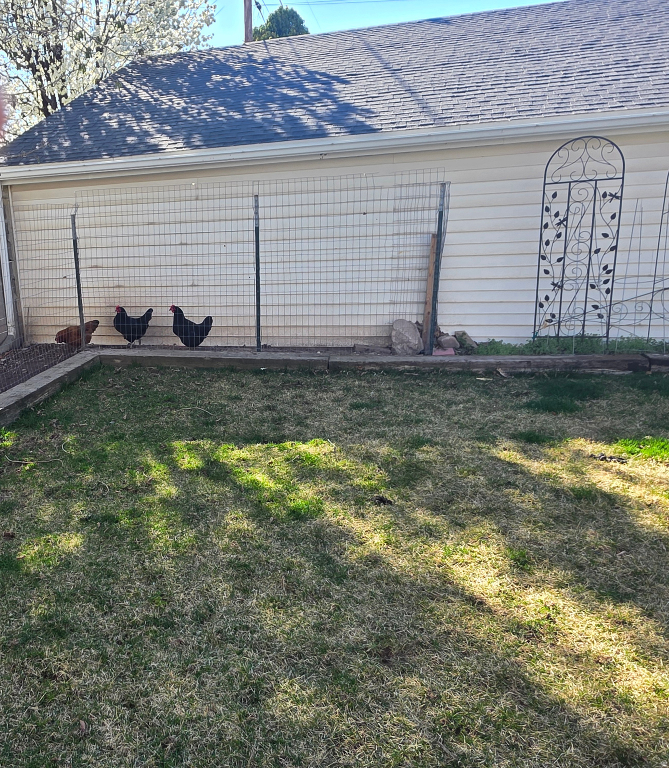 WOODSIDE HEIGHTS - Residential