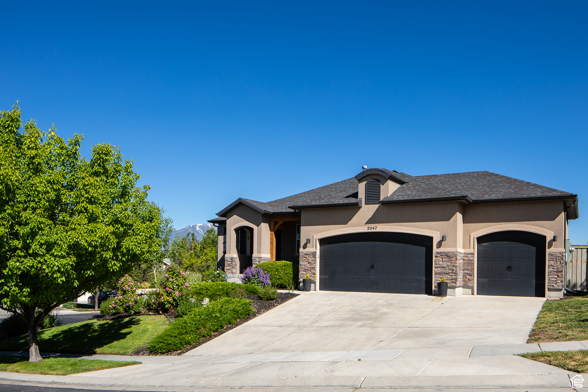 LONE TREE AT CIRCLE FIVE RANCH - Residential