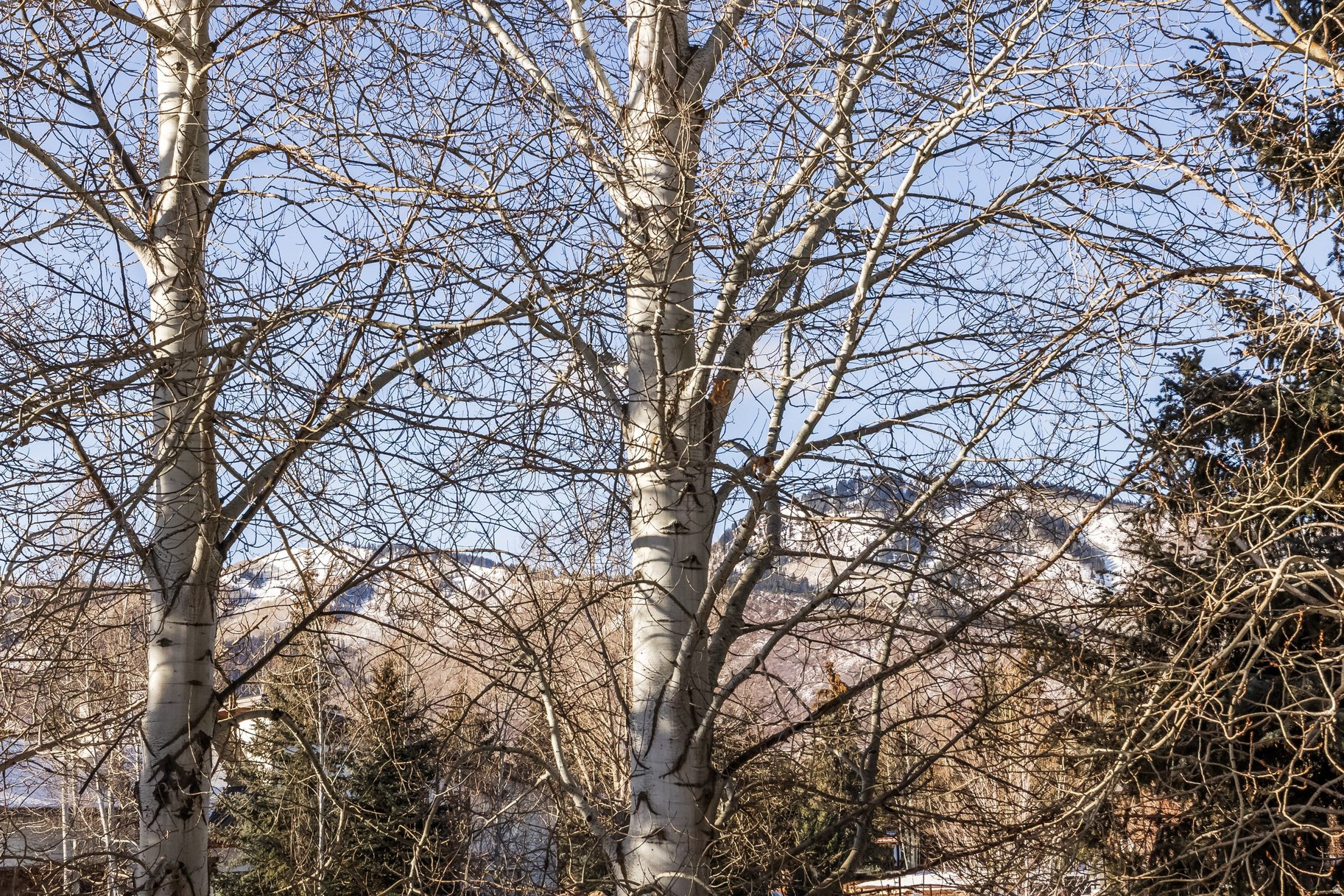 RACQUET CLUB VILLAGE SUB - Residential